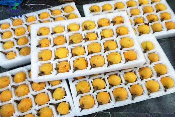 定做枇杷托的材料是環(huán)保的嗎？