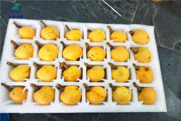 警惕：珍珠棉水果托的制作材料有毒嗎？